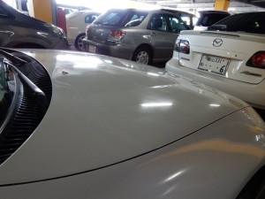 DSCN4283
