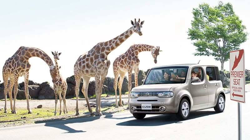 Nissan Cube Z12 Ad 4