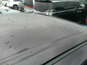2010-nissan-elgrand-e52-highway-star-350-2wd-roof-2