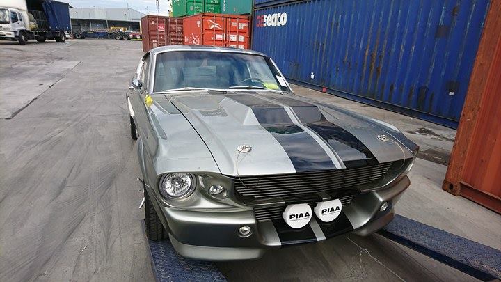 1967 Ford Mustang ELEANOR container