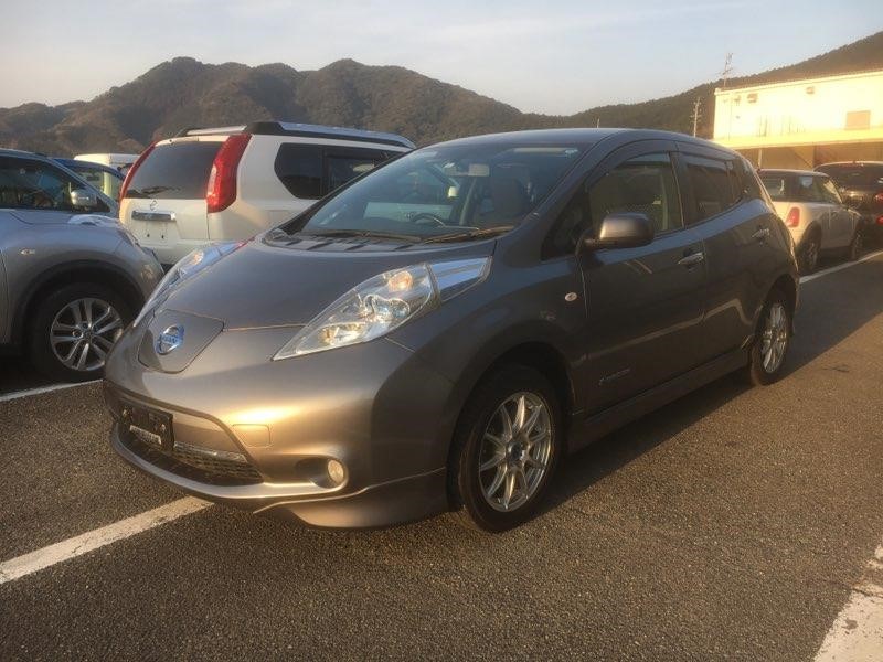 2014 Nissan Leaf X Gen 2 left front