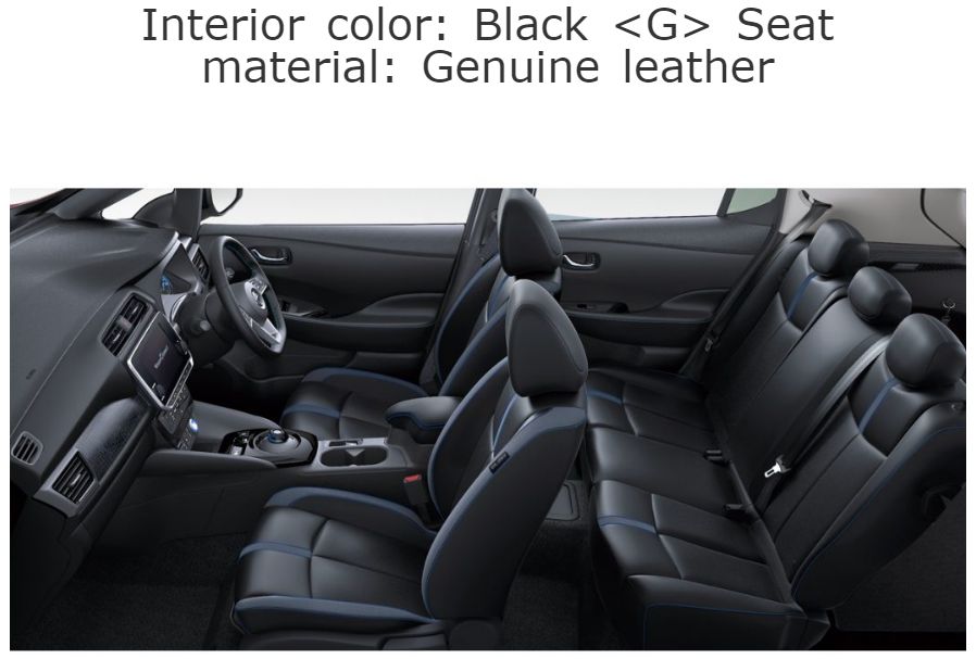Leaf 62kWh import leather interior 1
