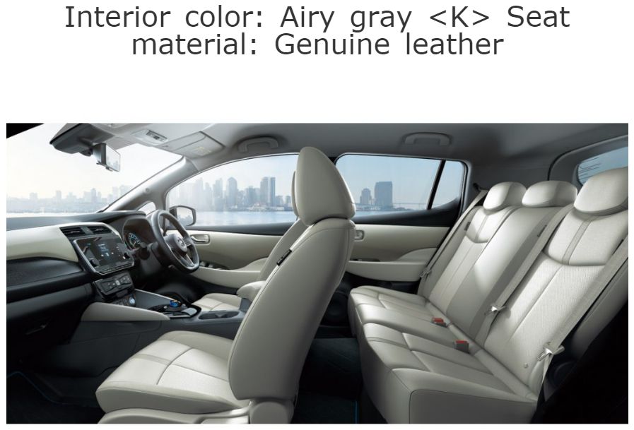 Leaf 62kWh import leather interior 2