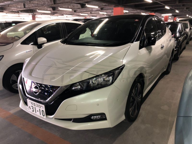 2018 Nissan Leaf 40kWh G 16