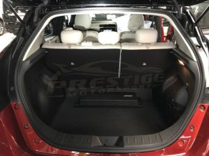 2019 Nissan Leaf e+G 62kWh 17