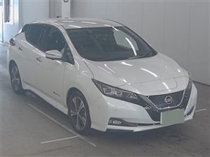 40kWh Leaf Import 4