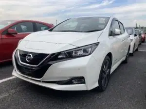 2018 Leaf front white Jakub