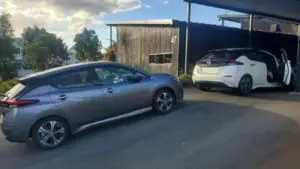 Toby 2018 Leaf G