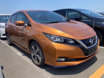 Richard W, 2019 Nissan Leaf e+G import front